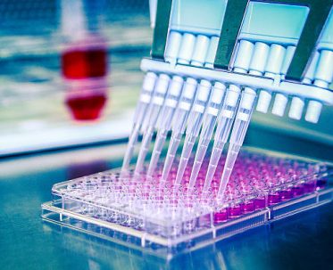 istockphoto-520238059-612×612 A scientist distributes a liquid throughout a cell culture plate with a multichannel pipette