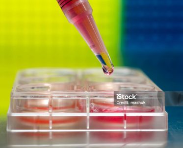 Medicinal test Medicinal test